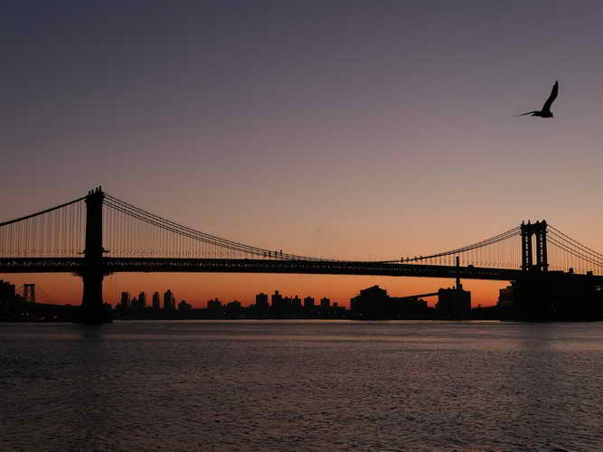 NYC_2020-01-26 06-57-24_P1070378